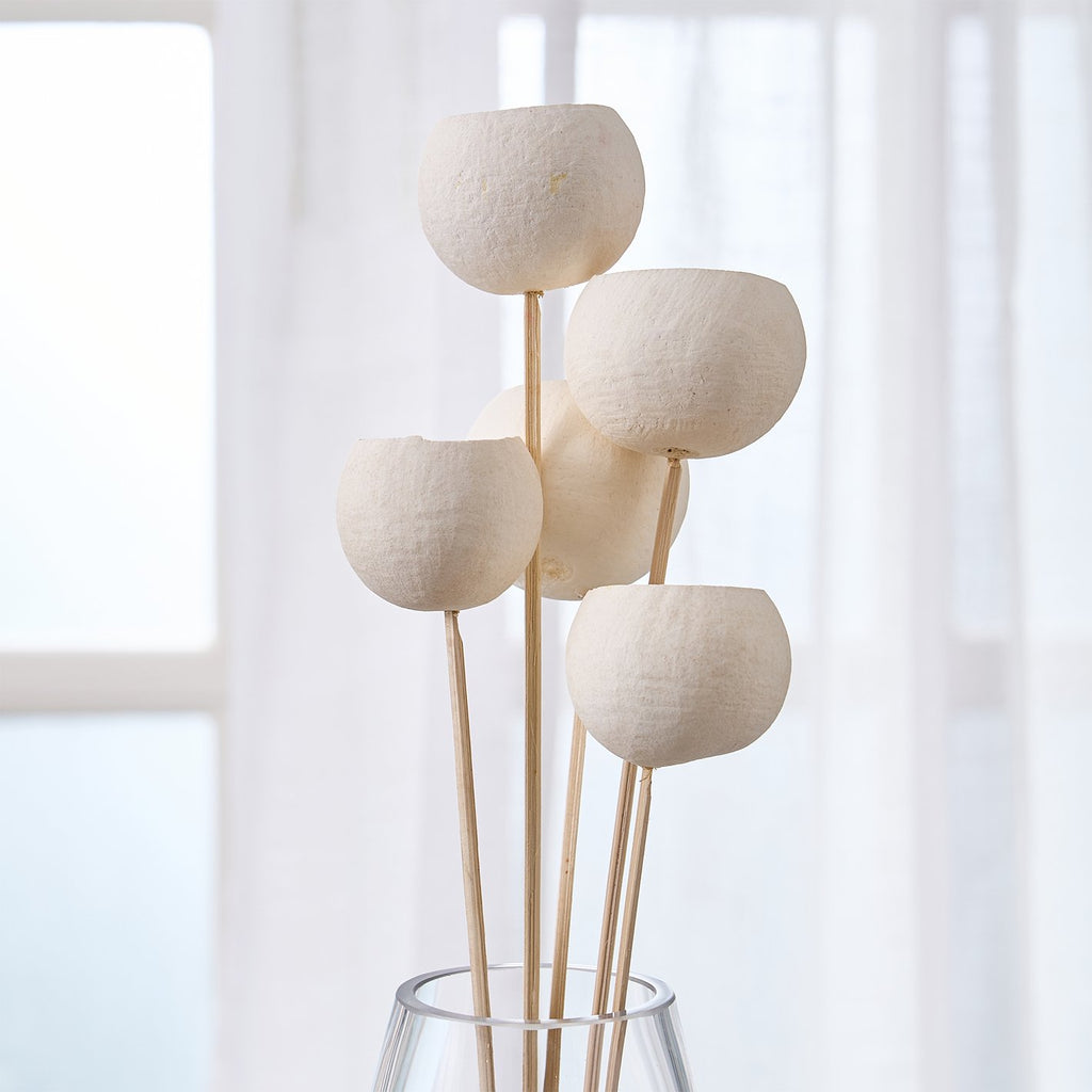 Festoon Natura Set of 5 Dried Bell Cup Flowers - 53cm