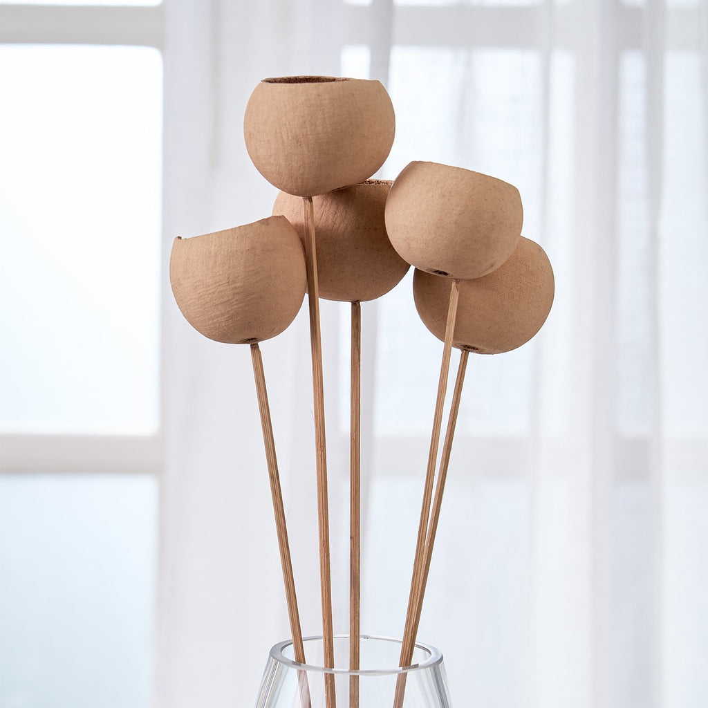 Festoon Natura Set of 5 Dried Bell Cup Flowers - 54cm