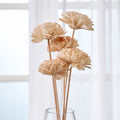 Festoon Natura Set of 5 Dried Shola Flowers - 53cm