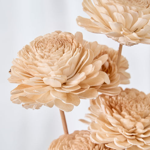 Festoon Natura Set of 5 Dried Shola Flowers - 53cm