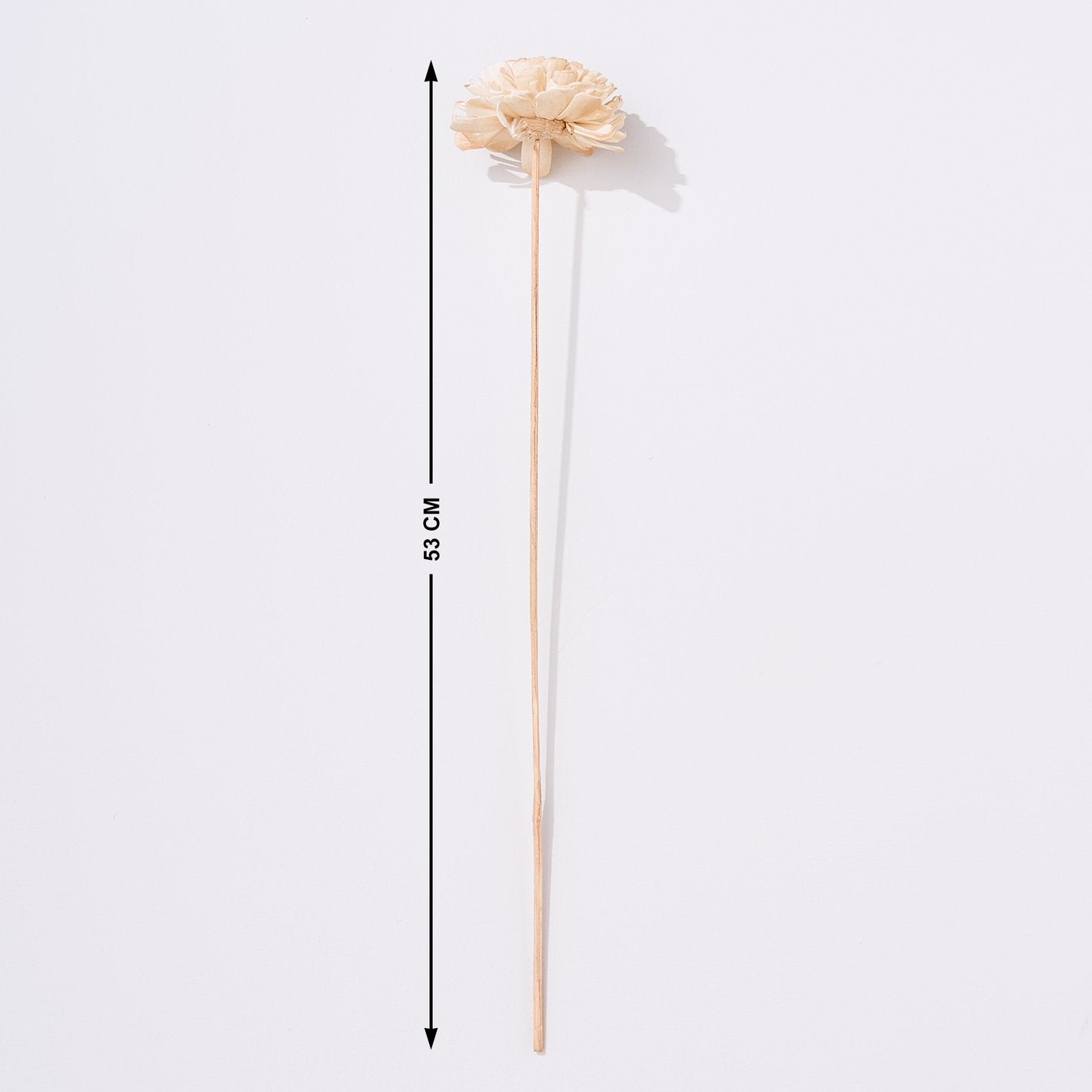 Festoon Natura Set of 5 Dried Shola Flowers - 53cm