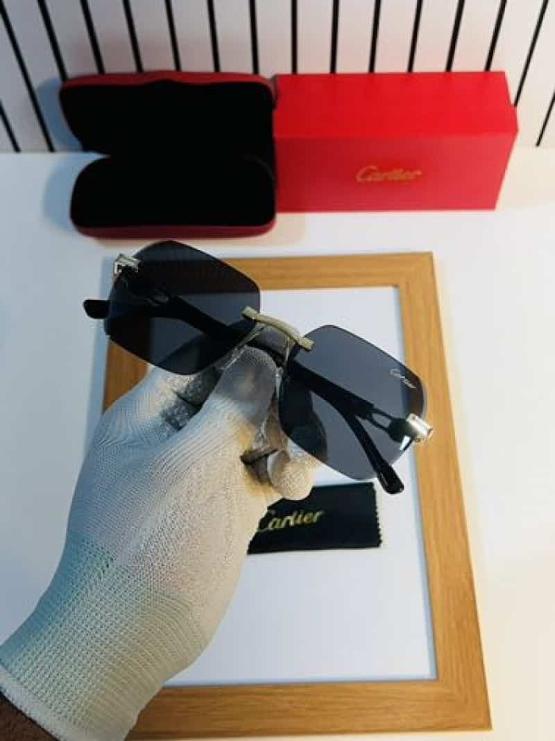 Rimless gold panther black sunglasses - held in gloved hand showing top view with panther hinges and black temples